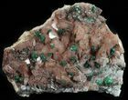 Malachite, Selenite and Ferroan Dolomite Association - Morocco #57358-1